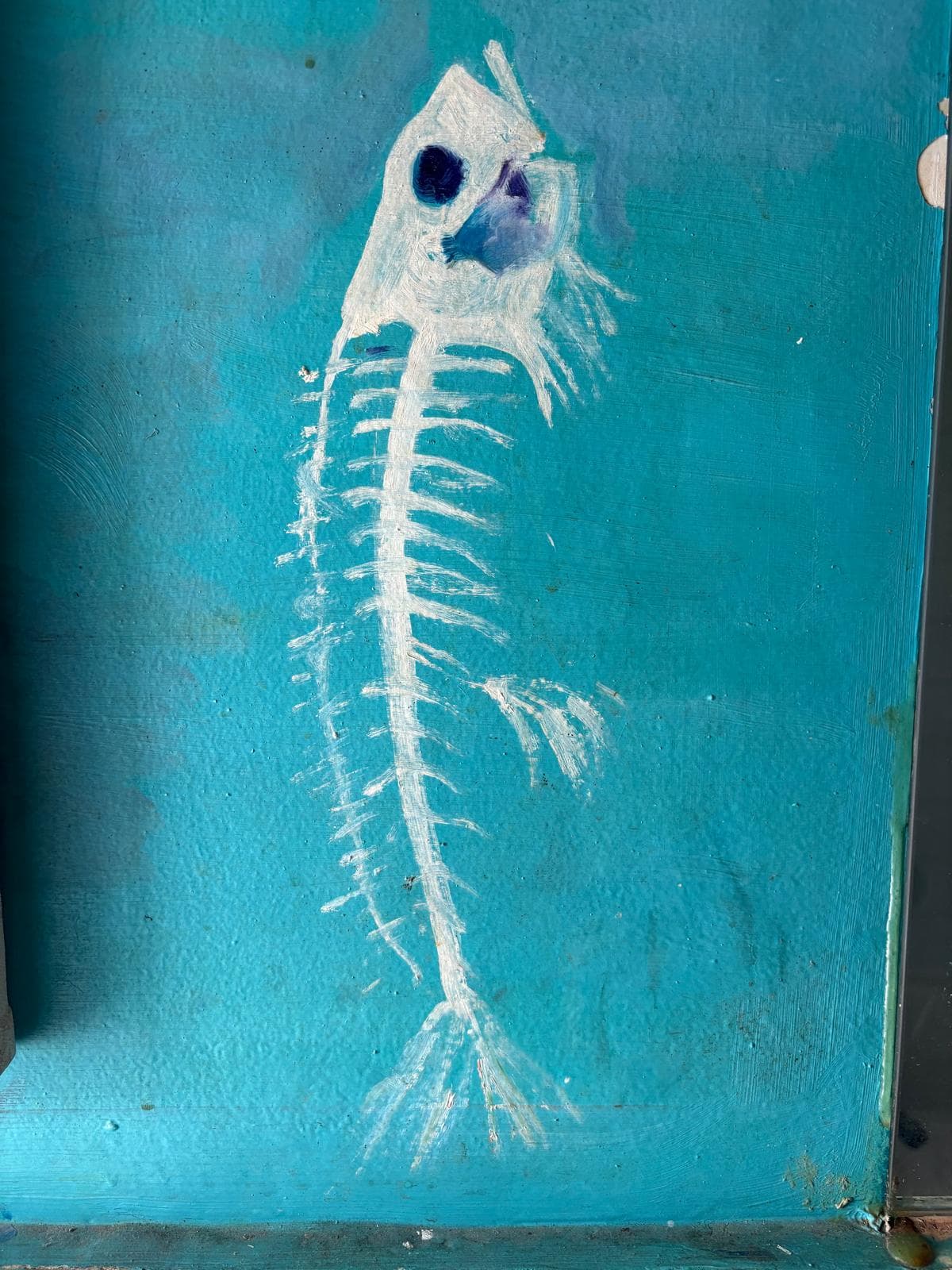 Fish Out of Water