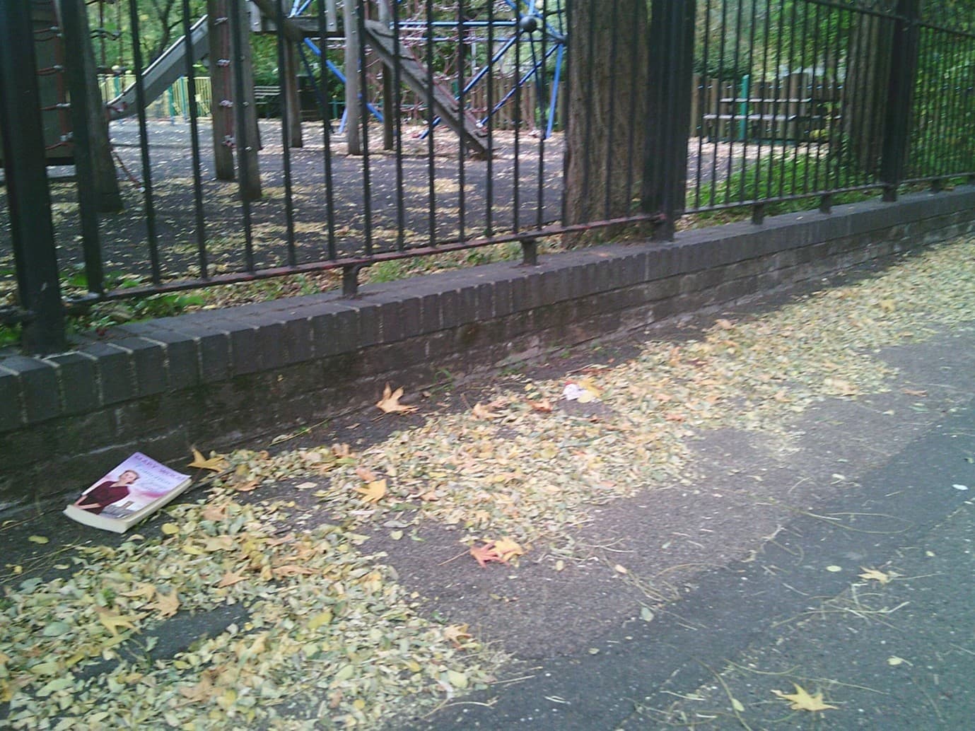 Eneh's day - photo 4
