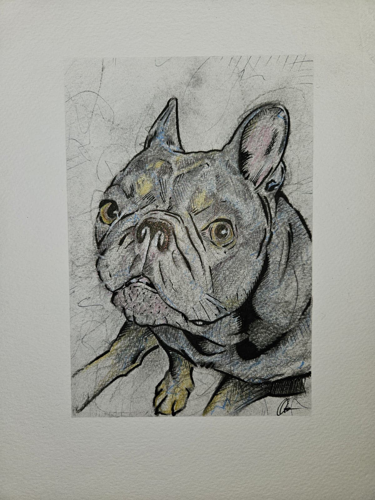 JR drawing — dog